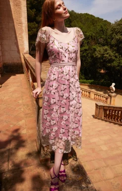 ANNA'S HUMMINGBIRD DRESS
