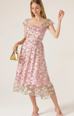 ANNA'S HUMMINGBIRD DRESS