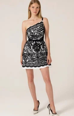 CHICKADEE MINI DRESS