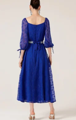 STELLERS JAY DRESS
