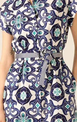 TREE SWALLOW SHIRTMAKER DRESS