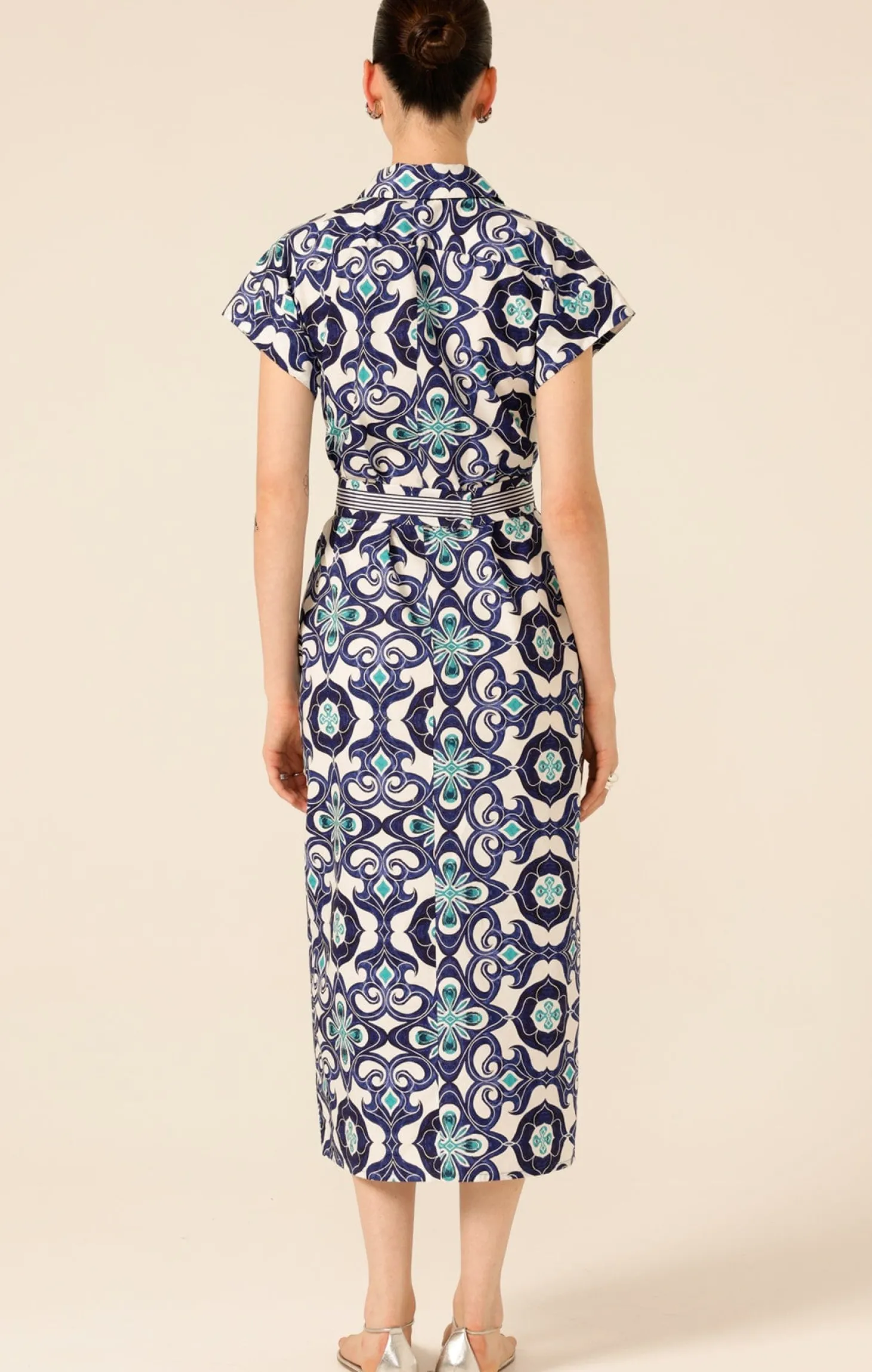 TREE SWALLOW SHIRTMAKER DRESS
