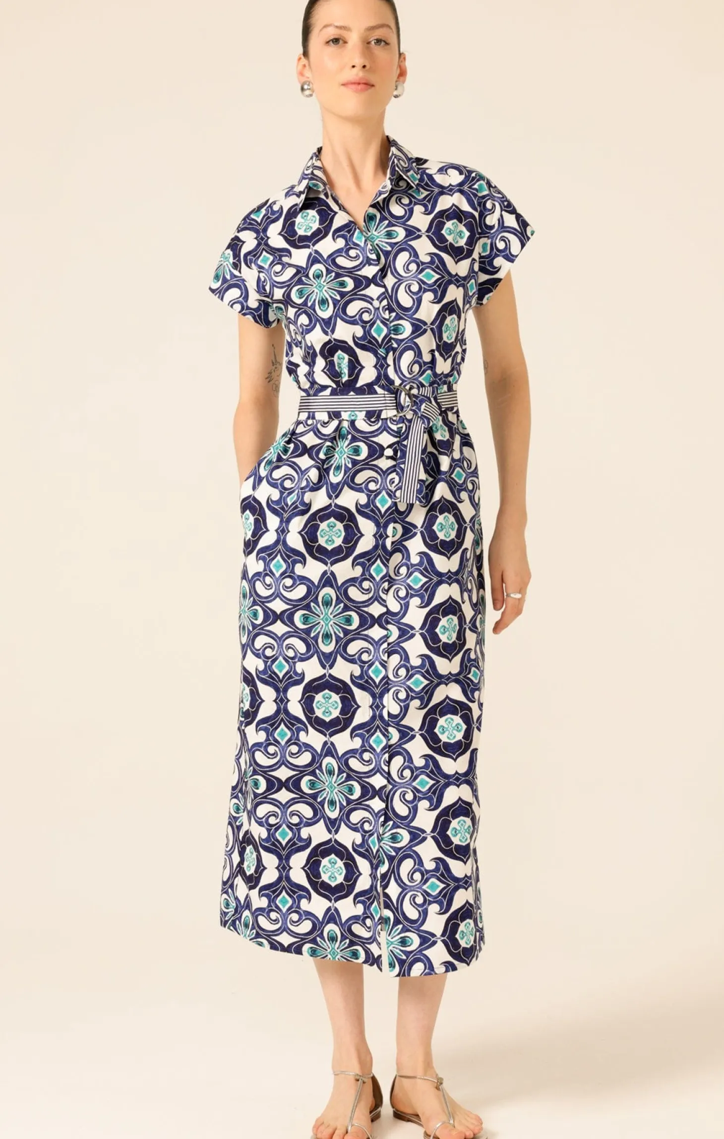 TREE SWALLOW SHIRTMAKER DRESS